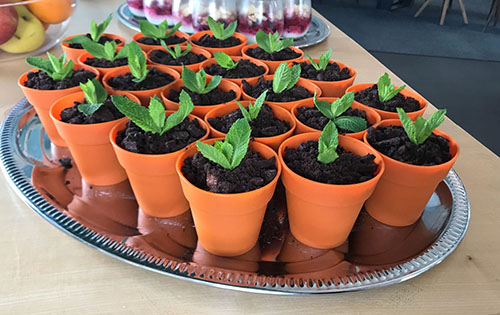 Pflanzentöpchen